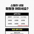 스텔라네일 네이버블로그