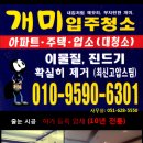 개미청소 이미지