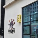 프레젠독(present dog) 이미지