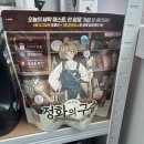 한세탁 | 캡슐세제 추천, 계량 없이 한 알로 끝내는 정화의 구슬 세탁 후기