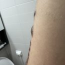 내포메디컬의원 이미지