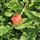 월정사 화장실 이미지