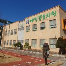 메밀꽃유치원 이미지