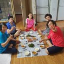 솔담 이미지