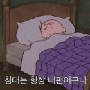 애니멀 라이프 네이버블로그