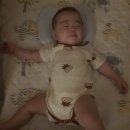 보경어린이집 이미지