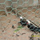 아름다운주유소 이미지