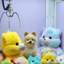 남양인형뽑기 이미지