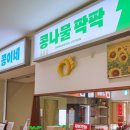 콩나물주택아늑전주점 이미지