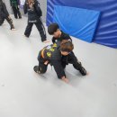 창원 하남 국술원합기도 이미지