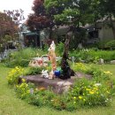 홍천캠핑&<b>내추럴</b> <b>가든</b> 529