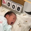 에덴모자 이미지