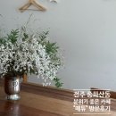 박하약국 | [전주]중화산동 분위기 좋은 카페 "매튜" 방문후기