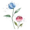 생활원예 강좌 이미지