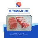 다린참치 이미지