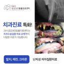 양주동물병원 이미지