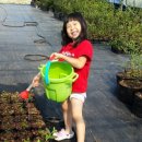 자매농장 이미지