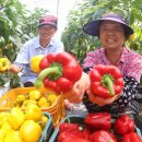 봉정농장 이미지