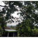 하나네집 이미지