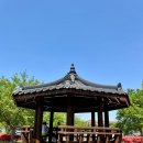 경산시 남매근린공원 | 주말 나들이 추천: 경산 남매공원 주차 정보, 산책, 물놀이장 운영 시간 총정리