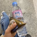 200205-08 혼자 다녀온 3박 4일 제주도 여행기✈