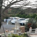 규리네밤하늘 이미지