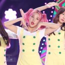 오프더데이지 이미지