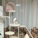 아이러브 캣 | 반려묘 캣타워 추천 일룸 캐스터 커스텀H 콘도형 슬라이드 후기