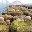 포유농장 이미지