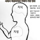 뇌에서 마음까지의 거리가 가장멀다 이미지