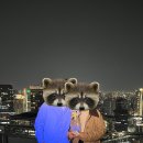 스카이빌딩 | [오사카] 우메다 스카이 빌딩 공중정원 전망대 야경 후기