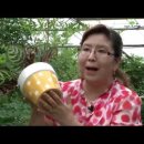 집안 분위기 살리는 화초기르기 이미지