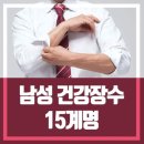 장수-15 Daum카페