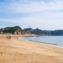 동굴가든 이미지