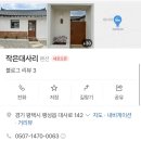 작은대사리 이미지