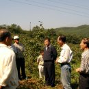 다복골농장 이미지