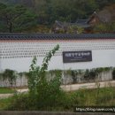 박곡천 네이버블로그