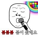 다이소대전 이미지