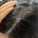 메디엑스퍼트 이미지