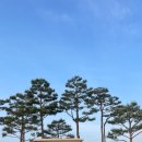 마이다스 | 이천 마이다스 cc 방문 후기