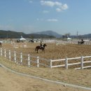 산촌옥관로 | [경상북도 구미시] 구미시승마장