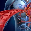 순환의 축복 이미지