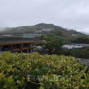 (주)이쩌우국제비지니스 이미지