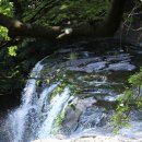 천제연폭포 이미지