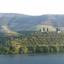 와인과 세계문화 이미지