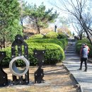 대신공원 숲길 이미지