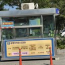 영진매점 | 강릉 여름성수기 물놀이추천 주문진해수욕장 주차장 샤워장 위치 금액 정보