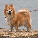 말랑말랑 이미지