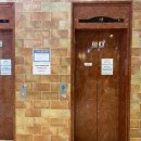 에프앤디넷 삼성미래점(부천) | [임신초기 12주차] 1차 기형아검사 후기 / 부천 삼성미래산부인과