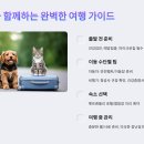 펫츠나라 동물병원 | 우리가족 반려동물과 함께 떠나는 여행 준비 방법